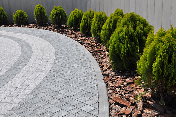 Driveway with border of bark and small conifers