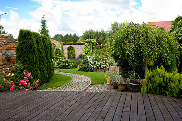 Landscaped garden with decking and paths